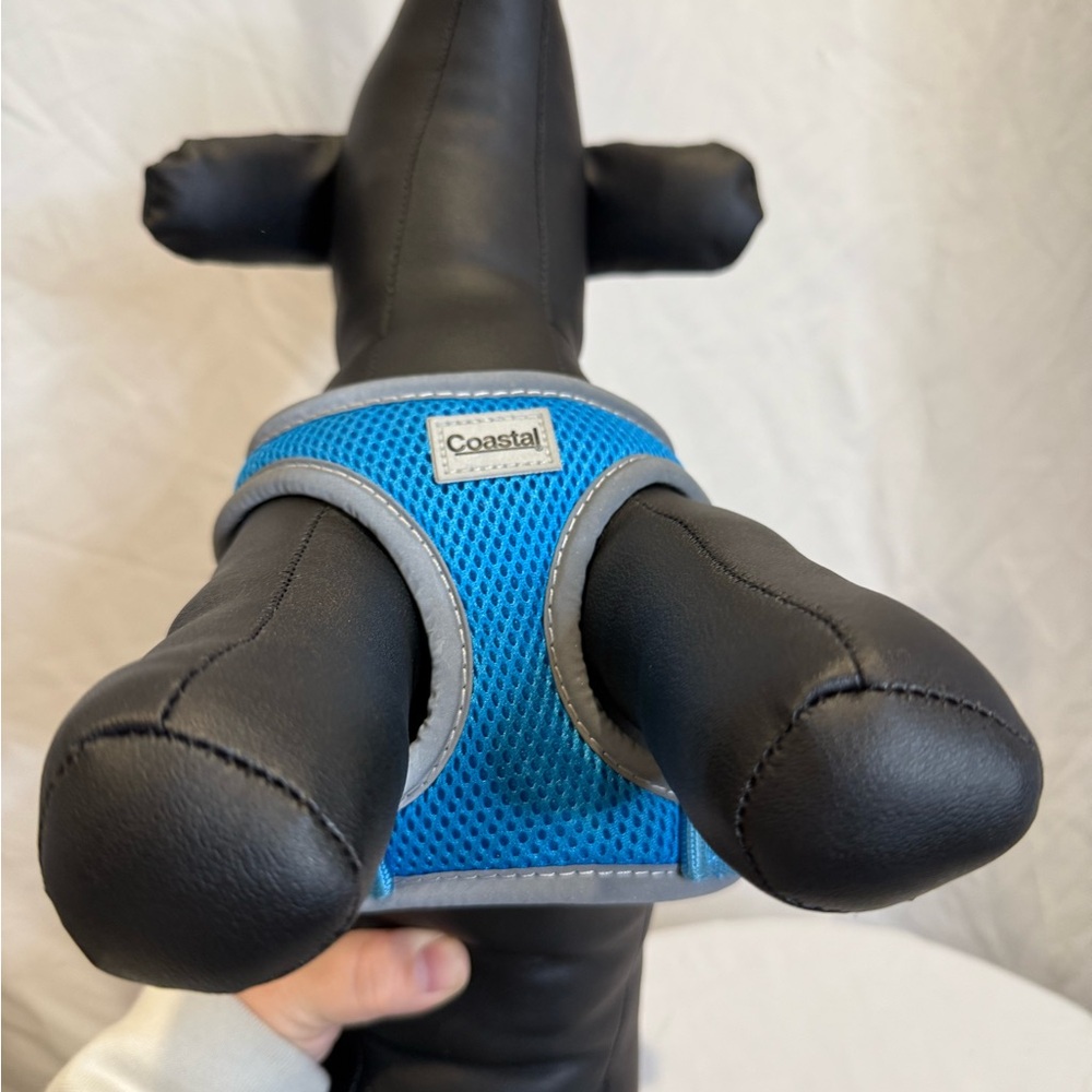 Coastal Pet Blue Mesh Dog Harness